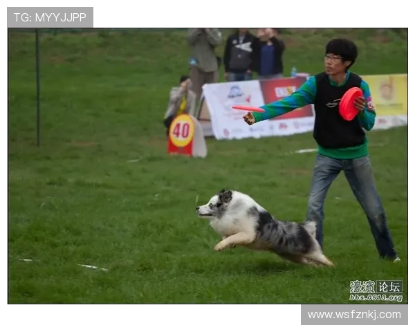 世界杯吸气(世界杯犬)世界杯体育论坛 世界杯吸气(世界杯犬)世界杯体育论坛