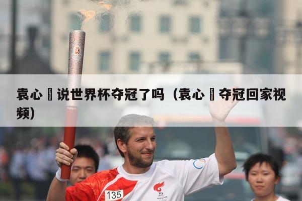 袁心玥说世界杯夺冠了吗（袁心玥夺冠回家视频）