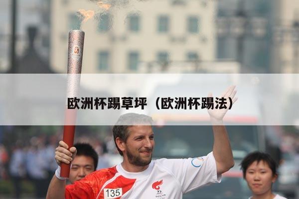 欧洲杯踢草坪（欧洲杯踢法）